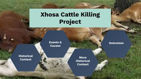 The Cattle Killing Movement: A Religious Upheaval Amidst Colonial Pressures and Environmental Instability